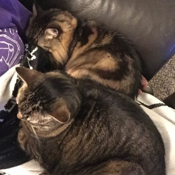 ✨ Welcome To My Closet ✨ - Picture 6 of 6